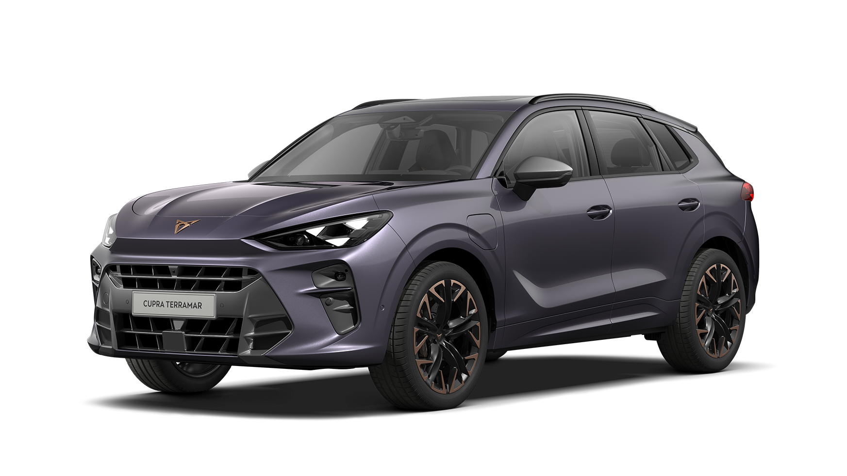 Bild för artikel CUPRA TERRAMAR