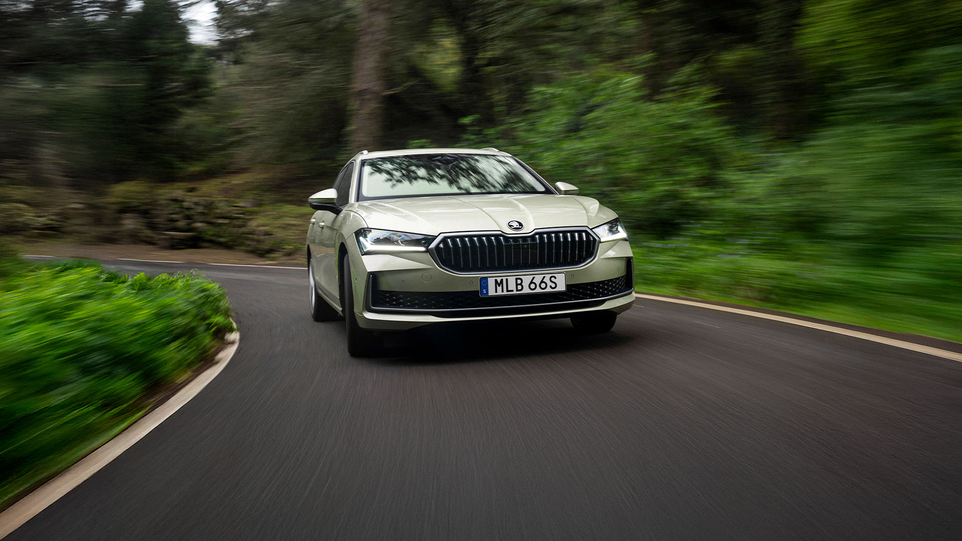 Skoda Superb i skogen