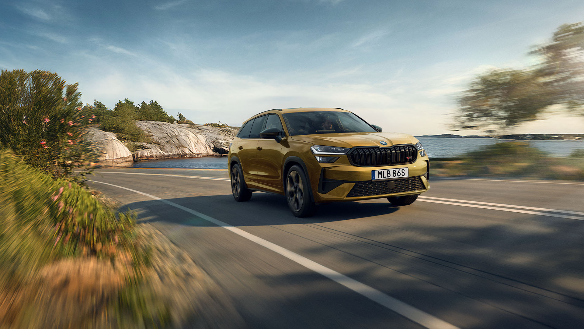 Skoda Kodiaq RS