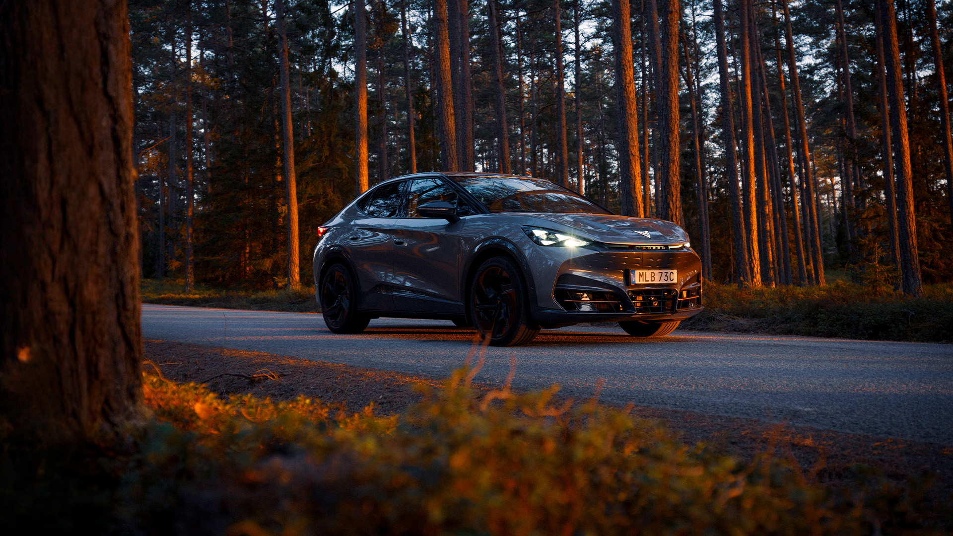 CUPRA Tavascan i skogen