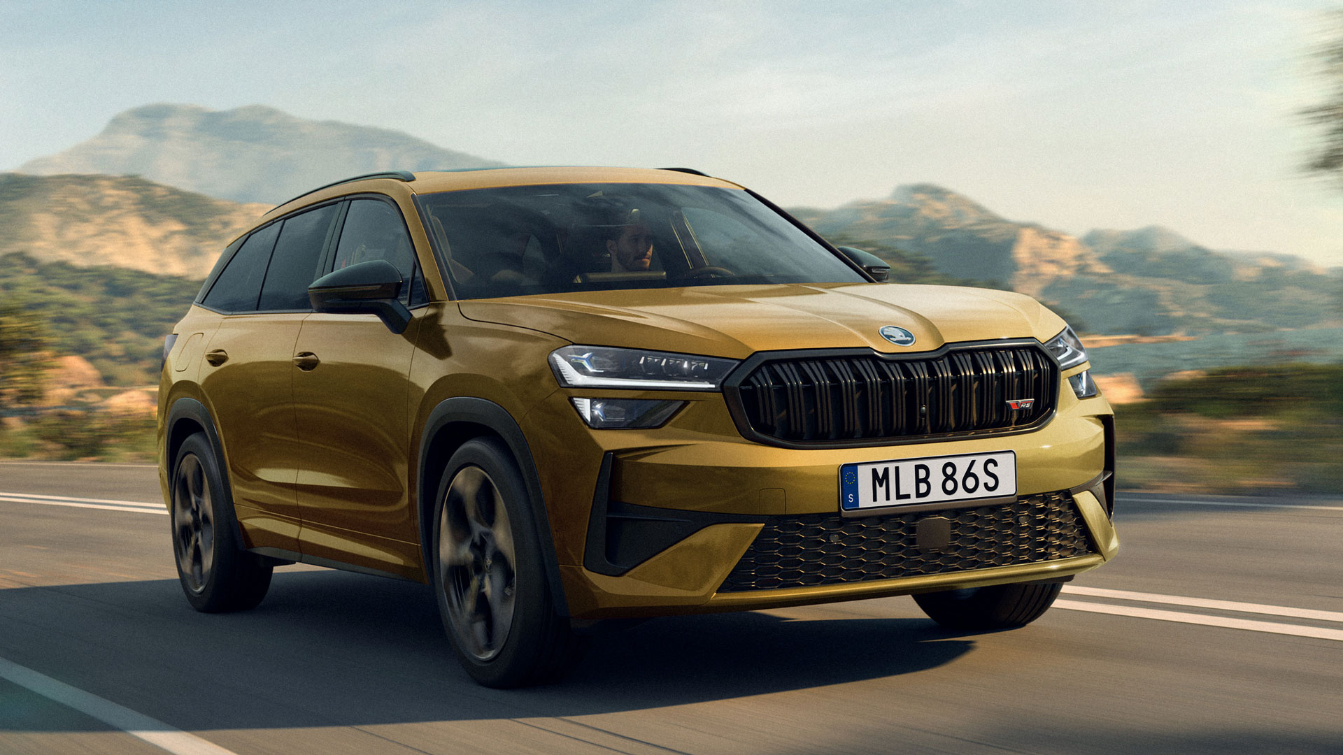 Bild för artikel Škoda