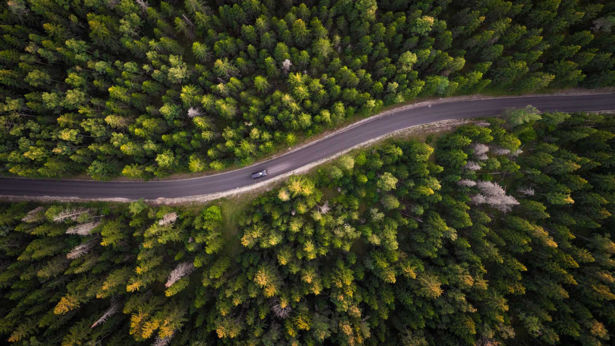 Bild för artikel ISO-certifierade för kvalitet, miljö och arbetsmiljö